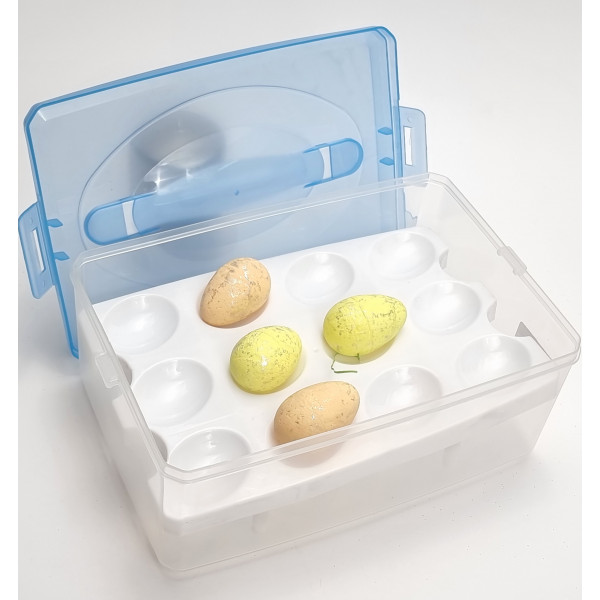 Dėžutė kiaušiniams (23x16)